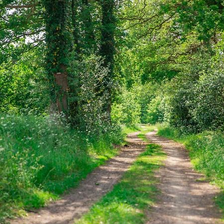 ستادسكانال Vakantiepark Westerwolde Pagedal المظهر الخارجي الصورة