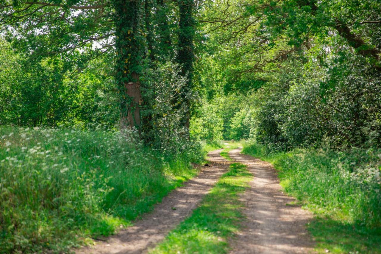 ستادسكانال Vakantiepark Westerwolde Pagedal المظهر الخارجي الصورة